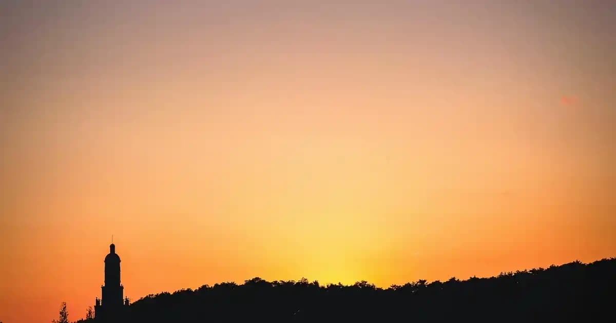 Nivea Tıraş Kremi: Erkekler İçin Güvenilir ve Etkili Bakım Ürünü Rehberi