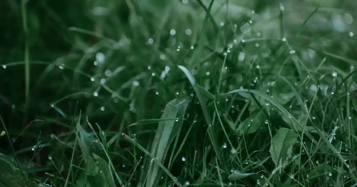 Nivea Yüz Kremi Fiyatları ve Çeşitleri Hakkında Güncel Bilgiler