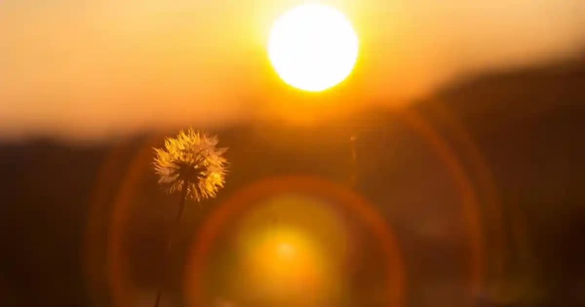 No:16 Miracle Oil 2025'te Cilt ve Saç Bakımında Devrim Yaratıyor