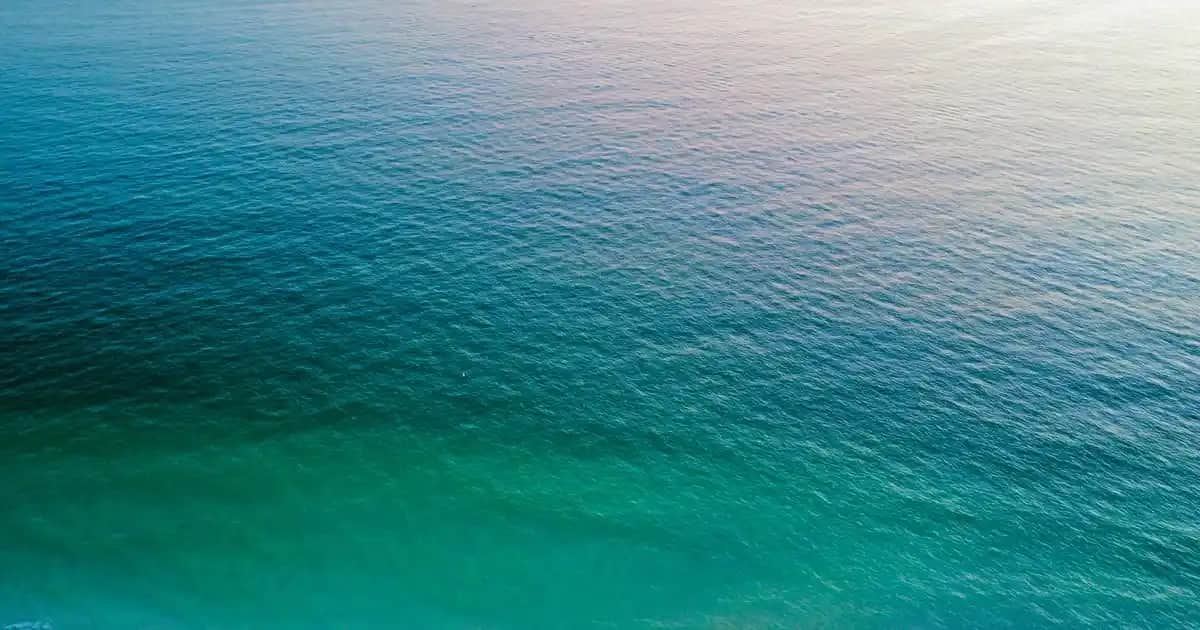 Novocrin Placenta Şampuanı ile Saç Dökülmesine Karşı Doğal ve Güçlendirici Çözüm