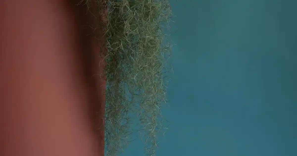 Nutraxin Magnezyum Kullanıcı Deneyimleri ve Kozmetik Etkileri Analizi