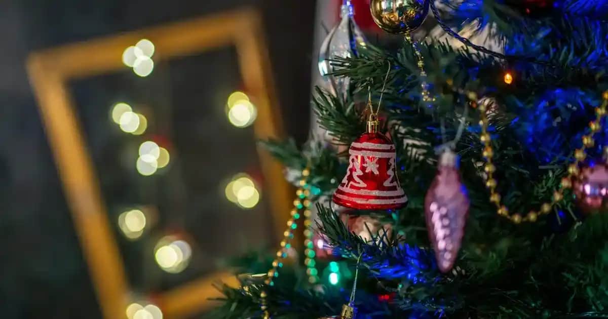 NUXE Roll-On Ürünleri: Pratik ve Çok Yönlü Doğal Kozmetik Çözümleri