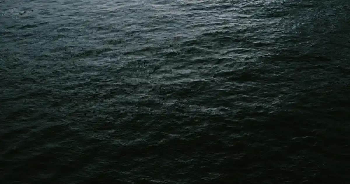 Ocean Bromelain: Doğal Enzimle Cilt Yenileme ve Güzellik Çözümleri