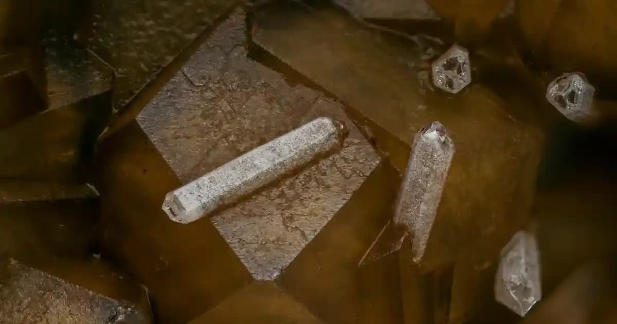 Ocean C Vitamini Kullanımı ve Cilt Sağlığına Etkileri Hakkında Detaylı Rehber