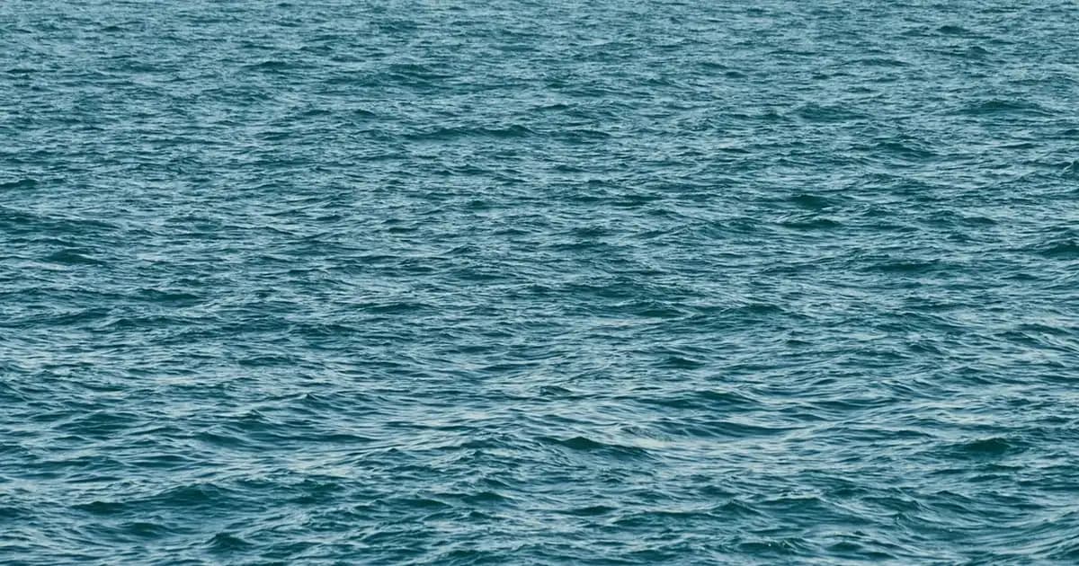 Ocean D Vitamini: Cilt ve Kemik Sağlığını Destekleyen Güvenilir Takviye Ürünü