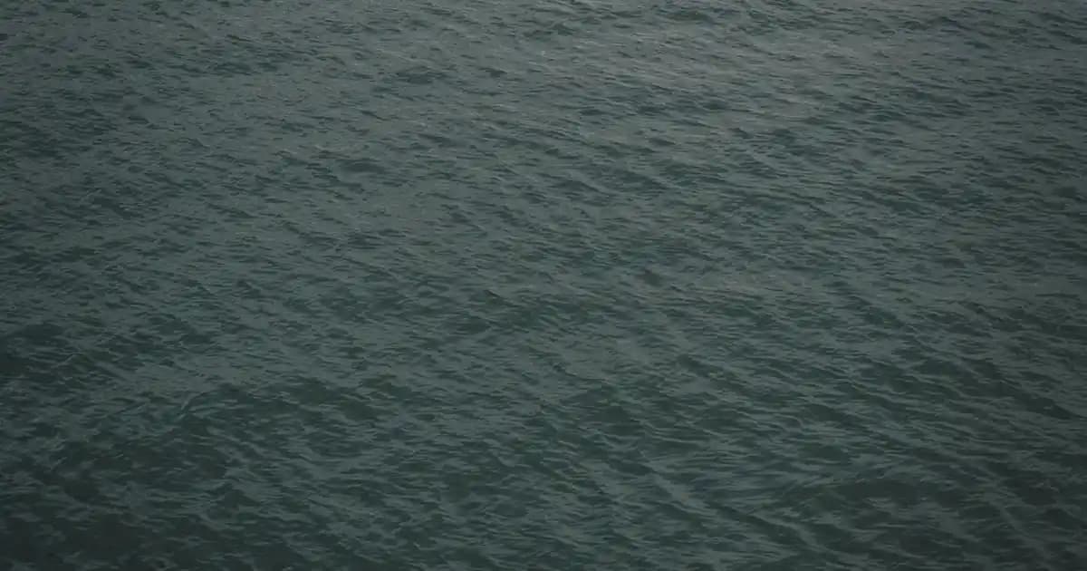 Ocean D3K2 Damla ile Kemik Sağlığı ve Güzellik İçin Güçlü Destek Sağlayın