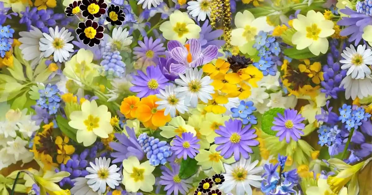 Ocean Daily One Energy ile Günlük Vitamin ve Enerji Takviyesi Rehberi