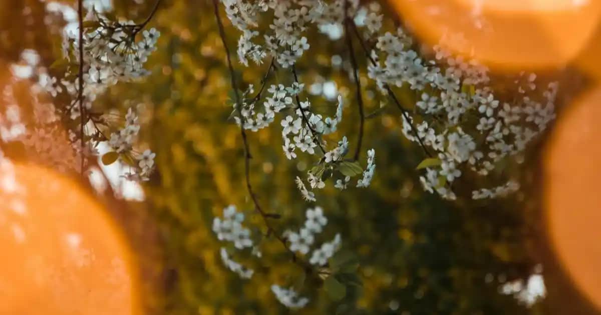 Ocean ExtraMag Magnezyum Takviyesi İçeriği ve Sağlık Faydaları Analizi