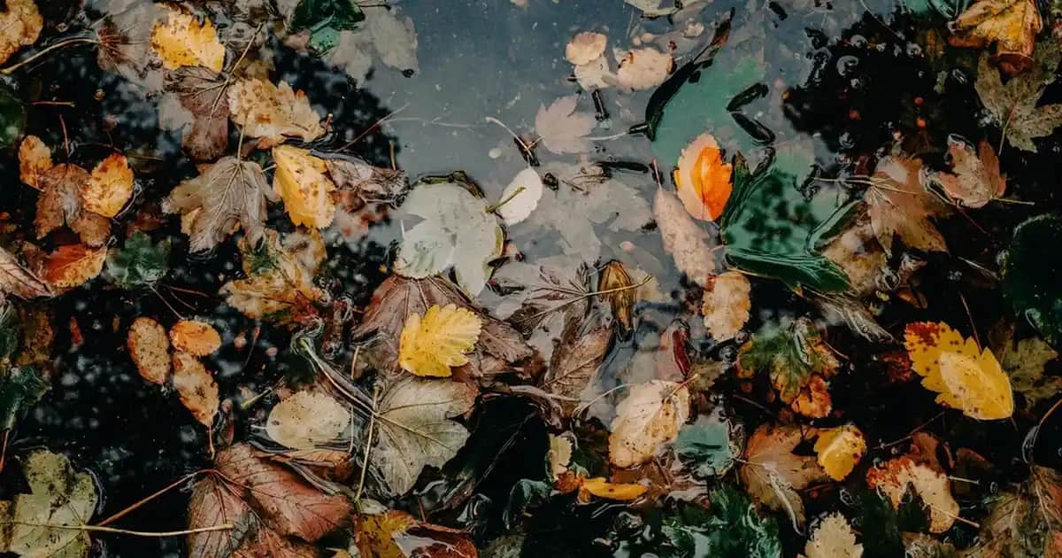 Ocean K2 D3 Takviyesi: Kozmetik ve Sağlık Üzerindeki Etkileri ve Faydaları