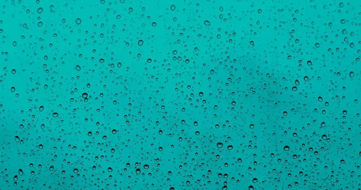 Ocean Plus 1200 mg Balık Yağı ile Cilt Sağlığını Destekleyen Doğal Takviye
