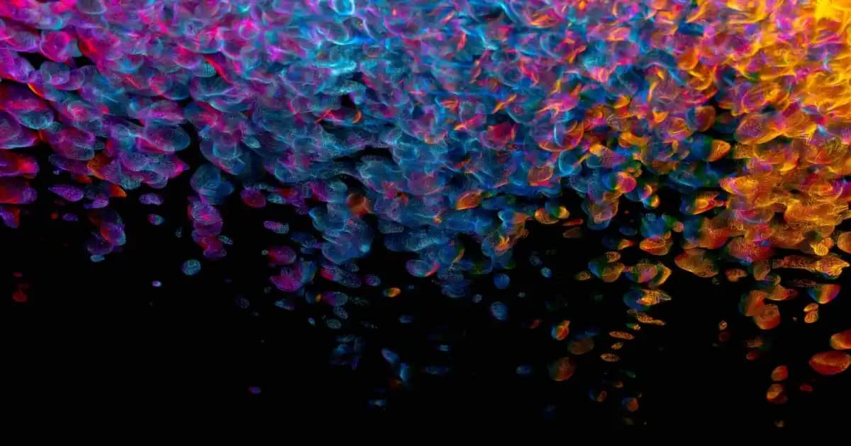 Ocean Vitamin D3 K2 ile Cilt Sağlığını Destekleyen Güvenilir Takviye Ürünü