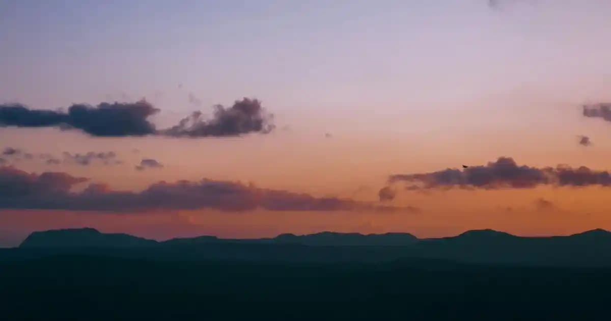 Oda Kokusu Spreyleri ile Ev ve Ofislerde Ferah Atmosfer Yaratma Rehberi