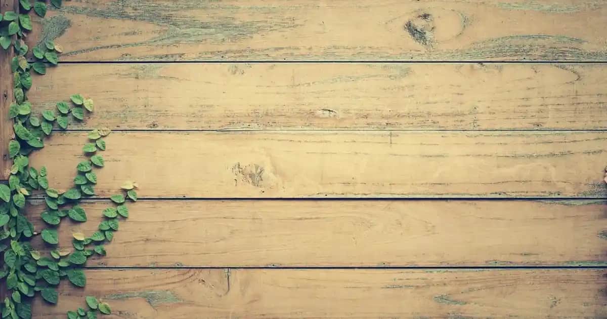 Ojesiz Manikür Nedir ve Güzellik Trendleri Arasındaki Yeri Hakkında Bilgi