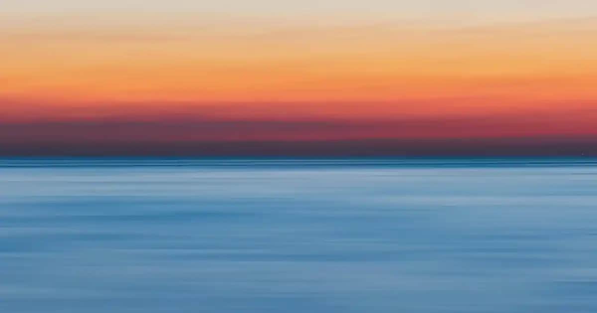 Ölmez Otu Nedir ve Kozmetikte Kullanım Alanları Hakkında Detaylı Bilgi