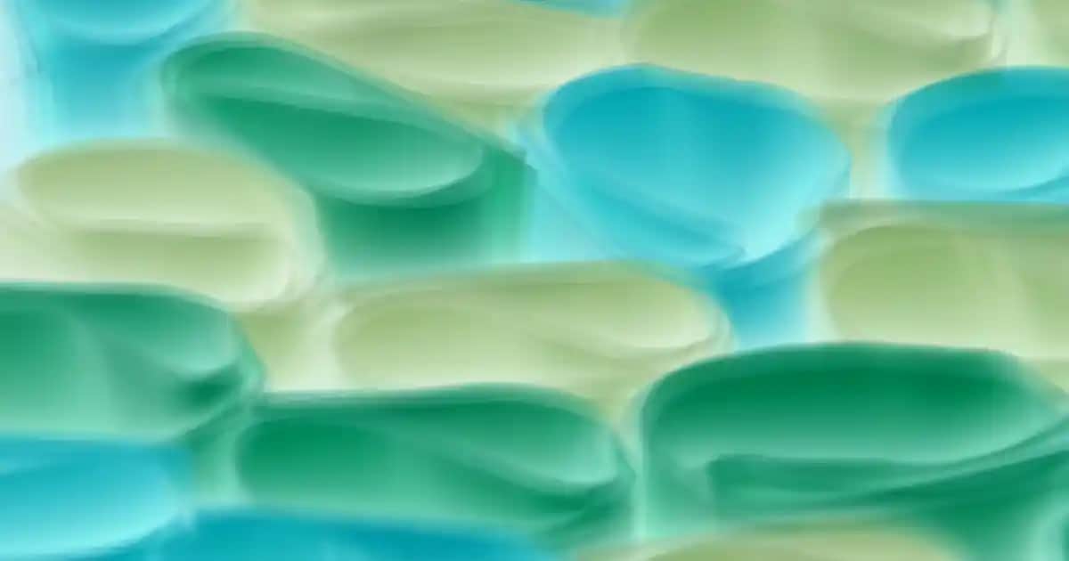 Onarıcı Bakım Merhemi: Cilt Sağlığını Güçlendiren Etkili Çözüm