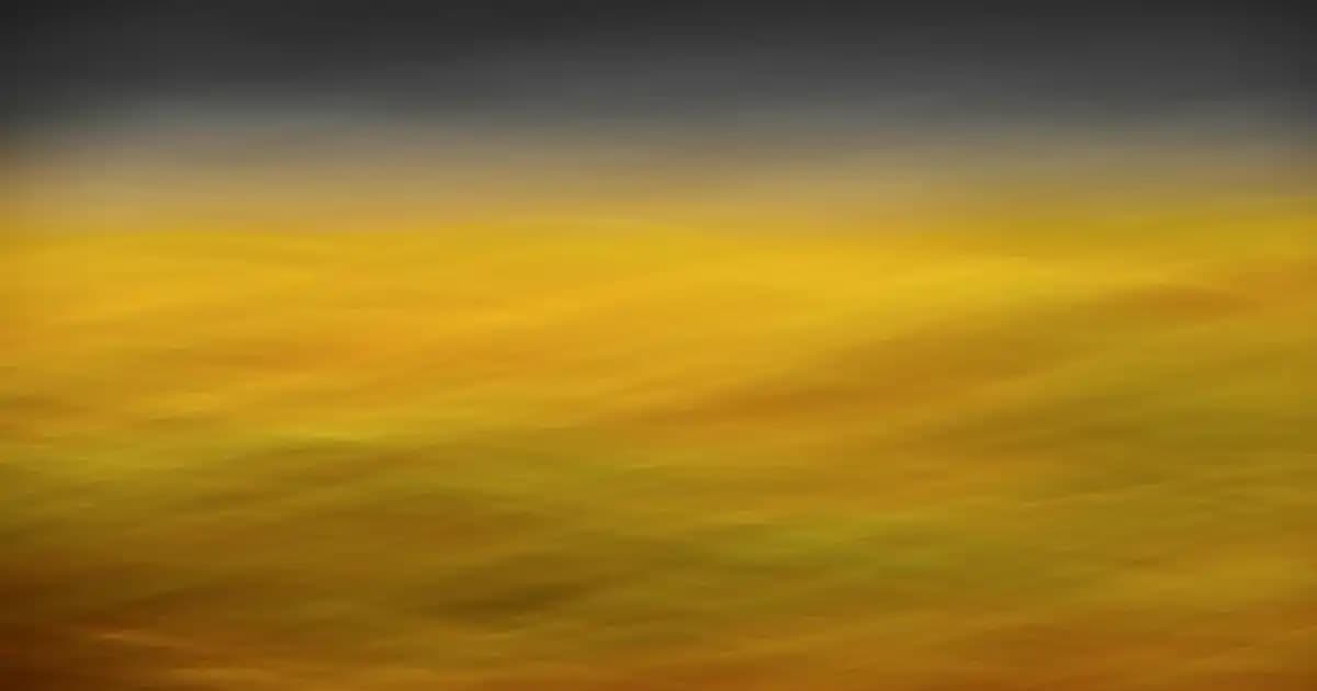 Orkid Ultra Gece Extra Plus: Güvenli ve Konforlu Gece Koruması Özellikleri