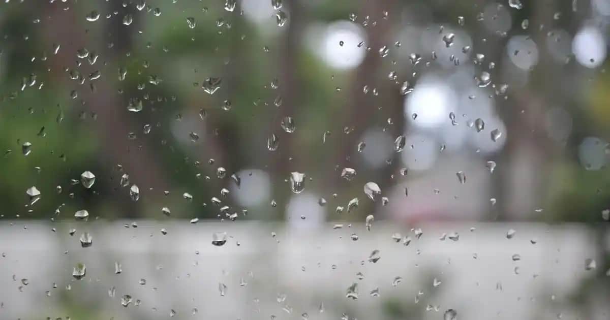 Otacı Pastil Nedir ve Boğaz Sağlığına Faydaları Nelerdir