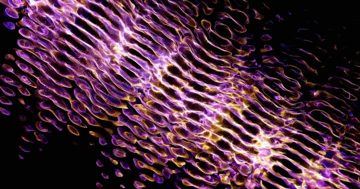 Palette Kızıl Saç Boyası ile Geniş Renk Seçenekleri ve Bakım İpuçları