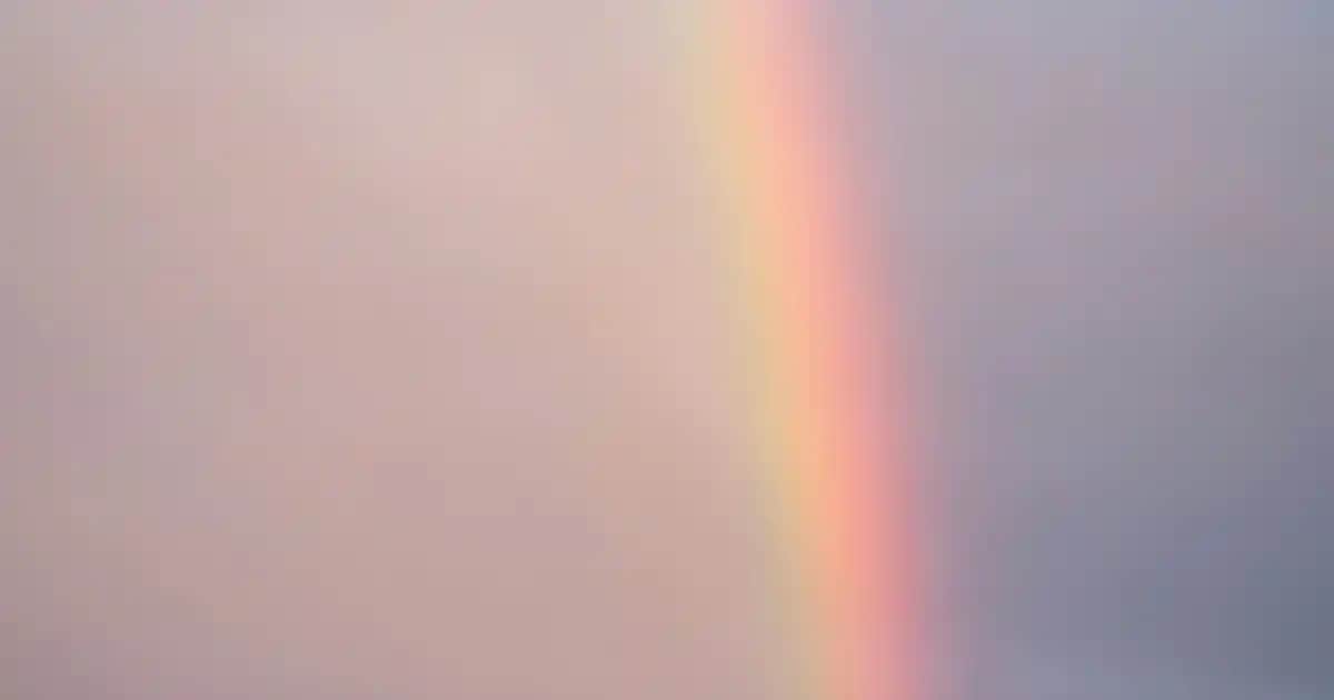 Palette küllü sarı toner kullanımı ve deneyimleri hakkında kapsamlı bilgi ve ipuçları