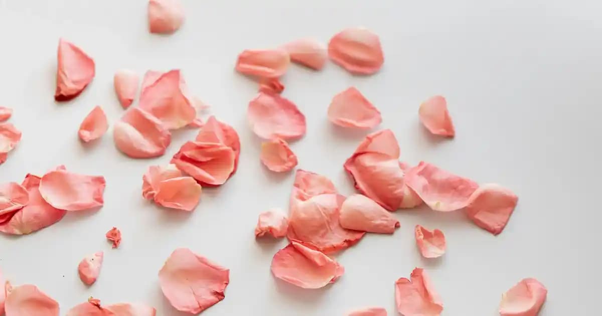 Palmolive Duş Jeli 250 ml: Pratik ve Kaliteli Günlük Bakım Çözümü