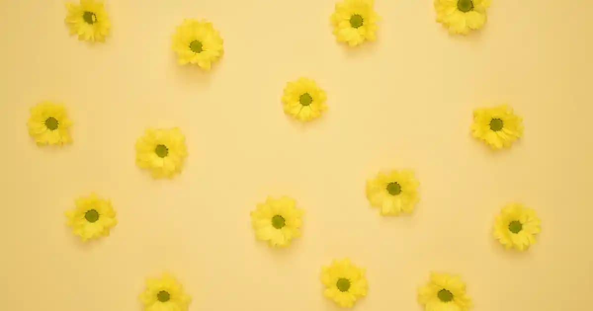 Pantene Saç Bakım Kremi: Sağlıklı ve Parlak Saçlar İçin En İyi Tercih