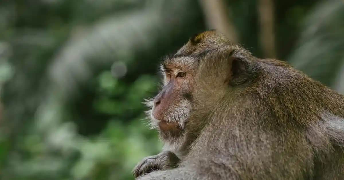 Pantene Şampuanlarında Son Kullanma Tarihi ve Saklama Koşulları Rehberi