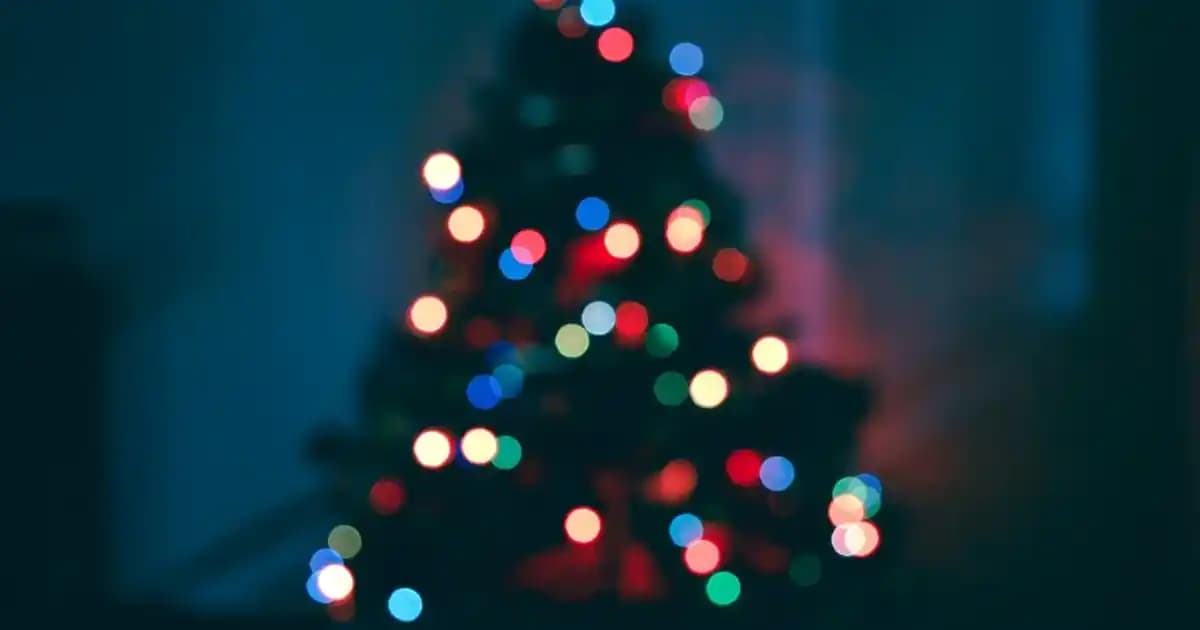 Paranit Bit İlacı Fiyatları ve Kozmetik Dünyasındaki Yeri Hakkında Güncel Bilgiler