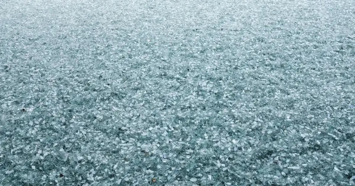 Paranit Bit İlacı Kullanımı ve Uygulama Rehberi Detaylı Bilgi