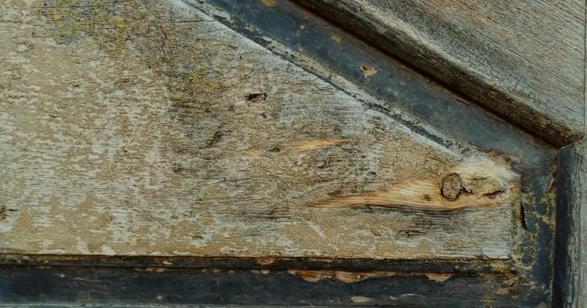 Parfüm Firmalarının Kozmetik Sektöründeki Rolü ve Trendler Analizi