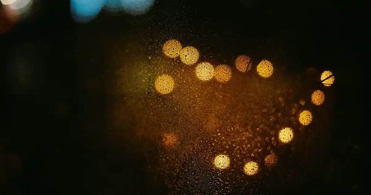 Parfüm Koku Çeşitleri ve Koku Aileleri Hakkında Detaylı Bilgi Rehberi