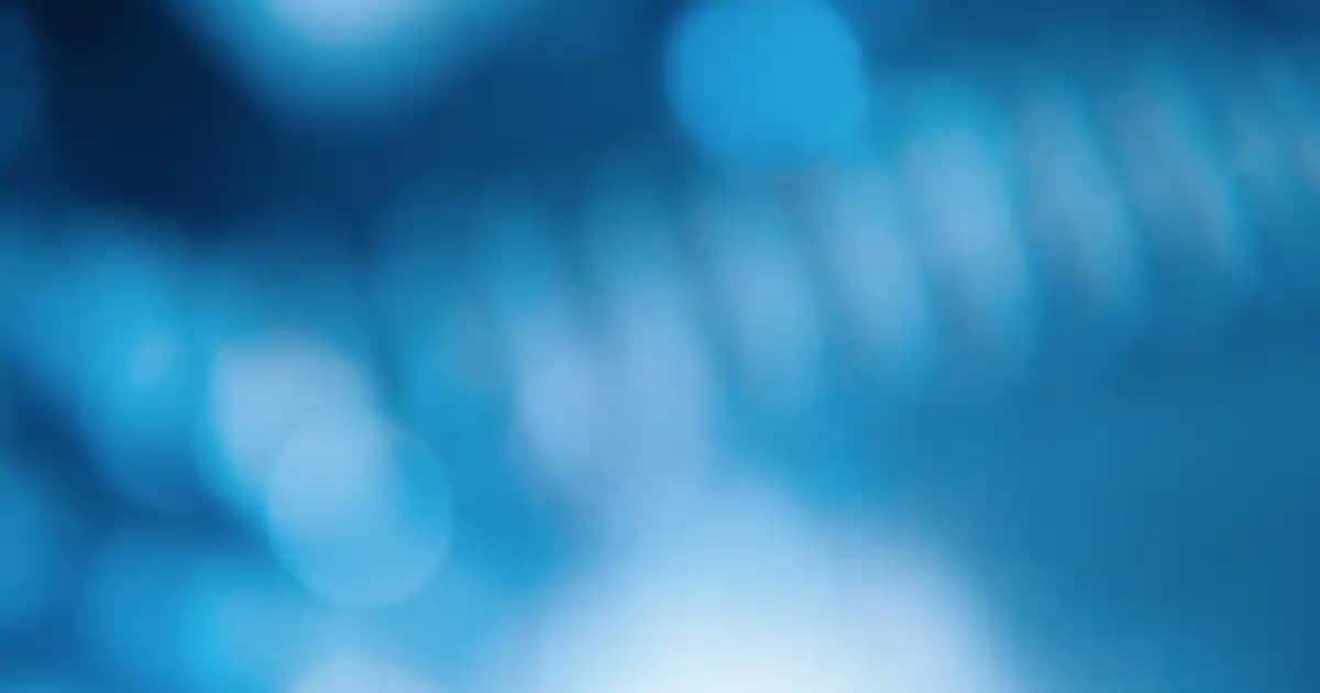 Parfümlerde EDP ve EDT Farkları Hangi Parfüm Size Uygun olduğunu Anlatıyor