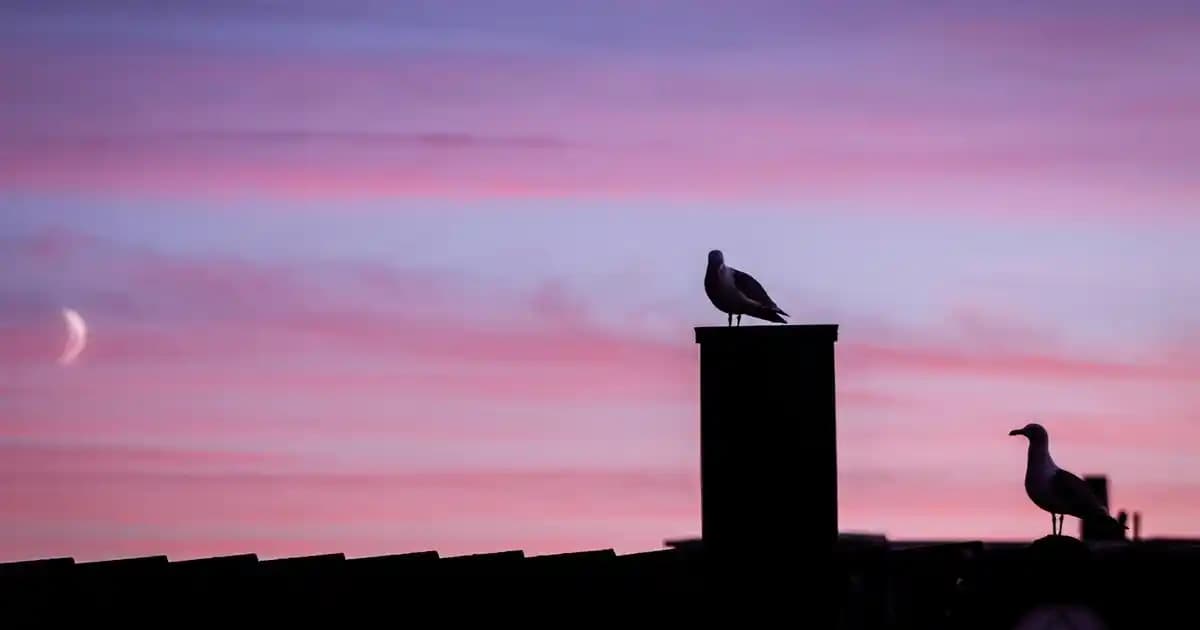 Pastel 142 Oje: Dayanıklı, Vegan ve Şık Renk Seçeneği Kozmetik Trendleri