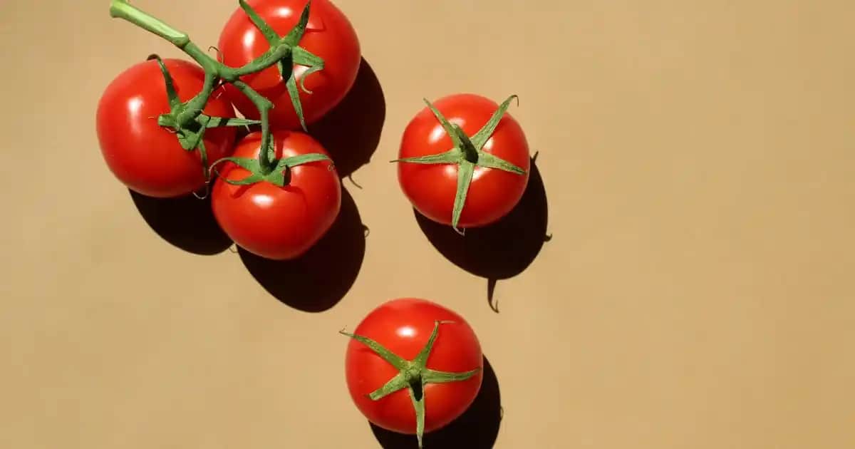 Pastel Oje 130 ile Şık ve Kalıcı Tırnak Güzelliği İçin Modern Renk Seçenekleri