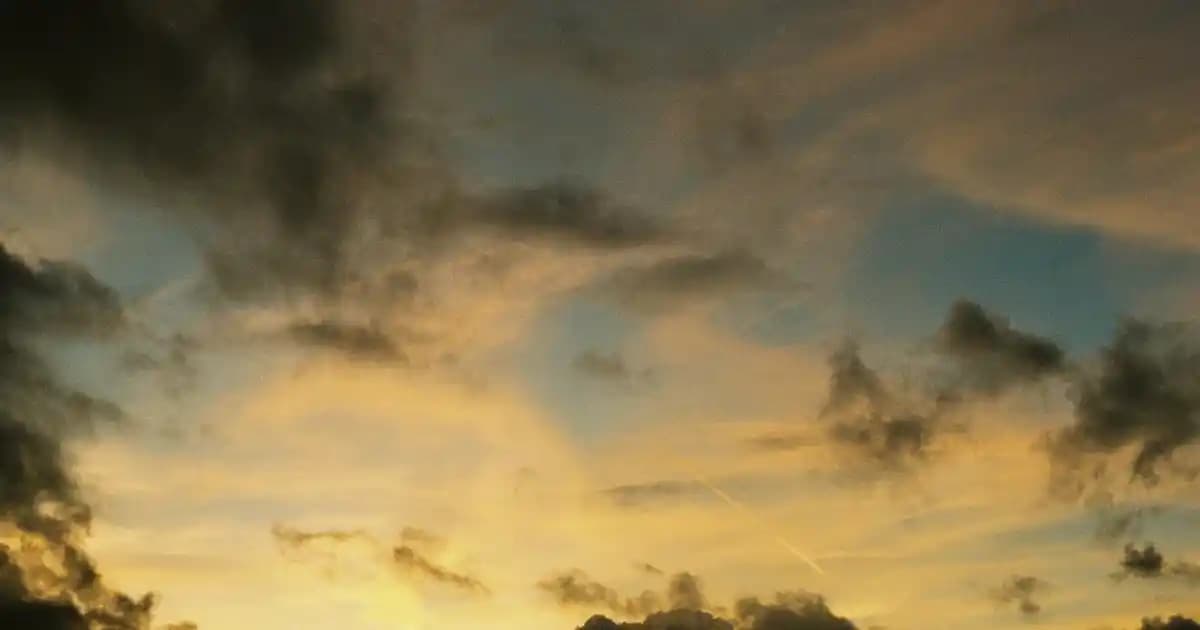 Pastel Profashion Maskara ile Kirpiklerde Hacim ve Uzunluk Sağlayan Yenilikçi Formül