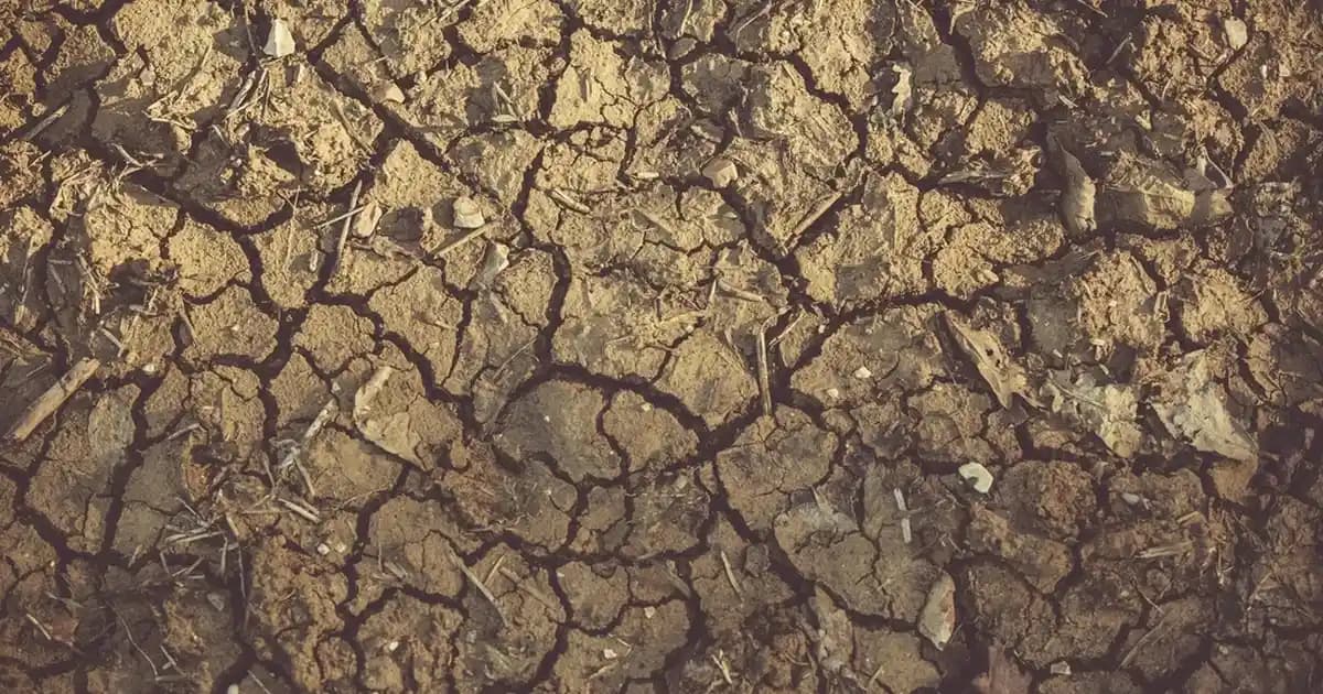 Pastel Terracotta Allık: Doğal ve Sıcak Tonlarla Günlük Makyajın Vazgeçilmezi