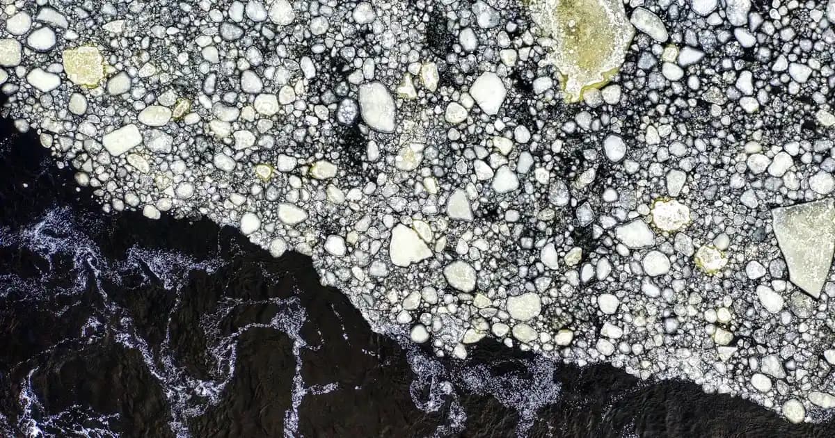 Pastel Tonların Kozmetik Sektöründeki Yeri ve Güncel Trendler Analizi