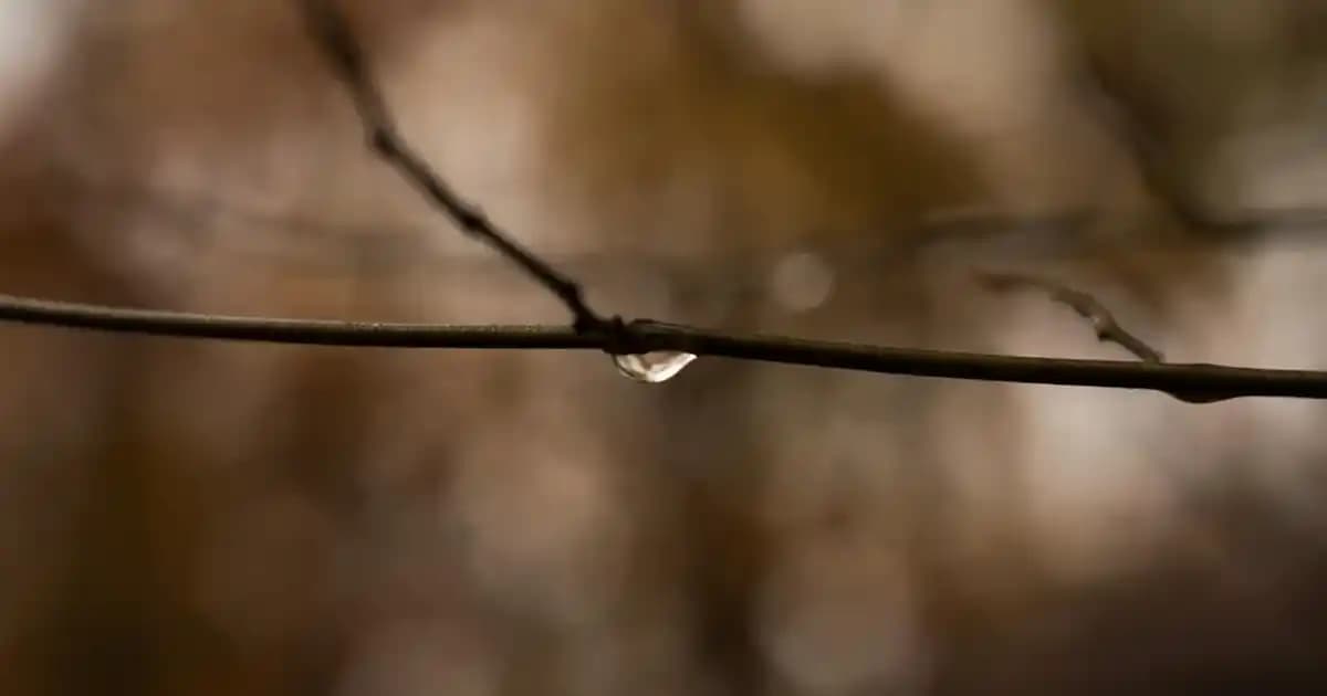 Photoderm Spot-AGE SPF 50+ Güneş Koruyucu ve Cilt Aydınlatıcı Ürün Özellikleri