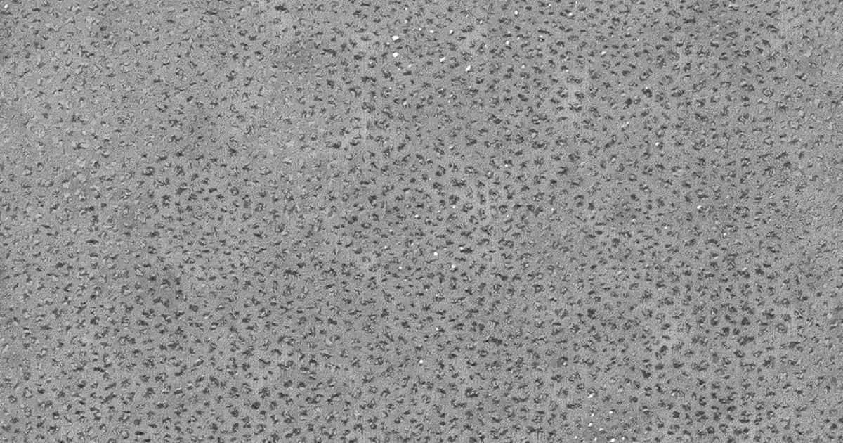 Purest Kırmızı Serum ile Cilt Tonu Eşitliği ve Parlaklık Artışı Sağlayan Etkili Bakım