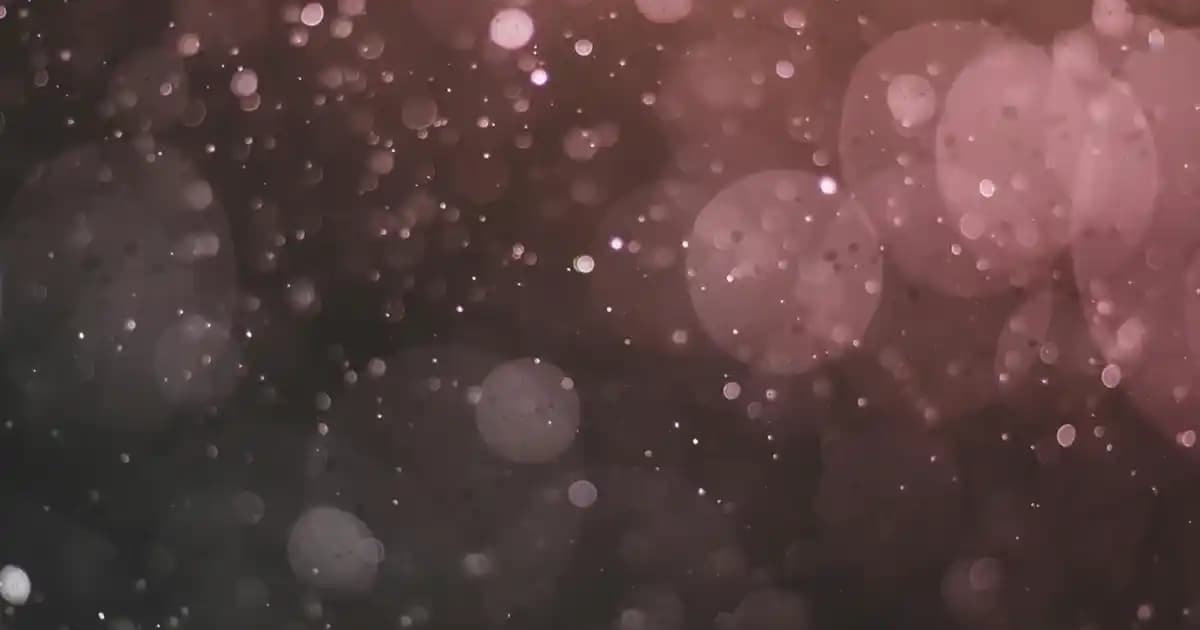 2025'te Radix Saç Serumu ile Saç Dökülmesine Son Veren 5 Sır