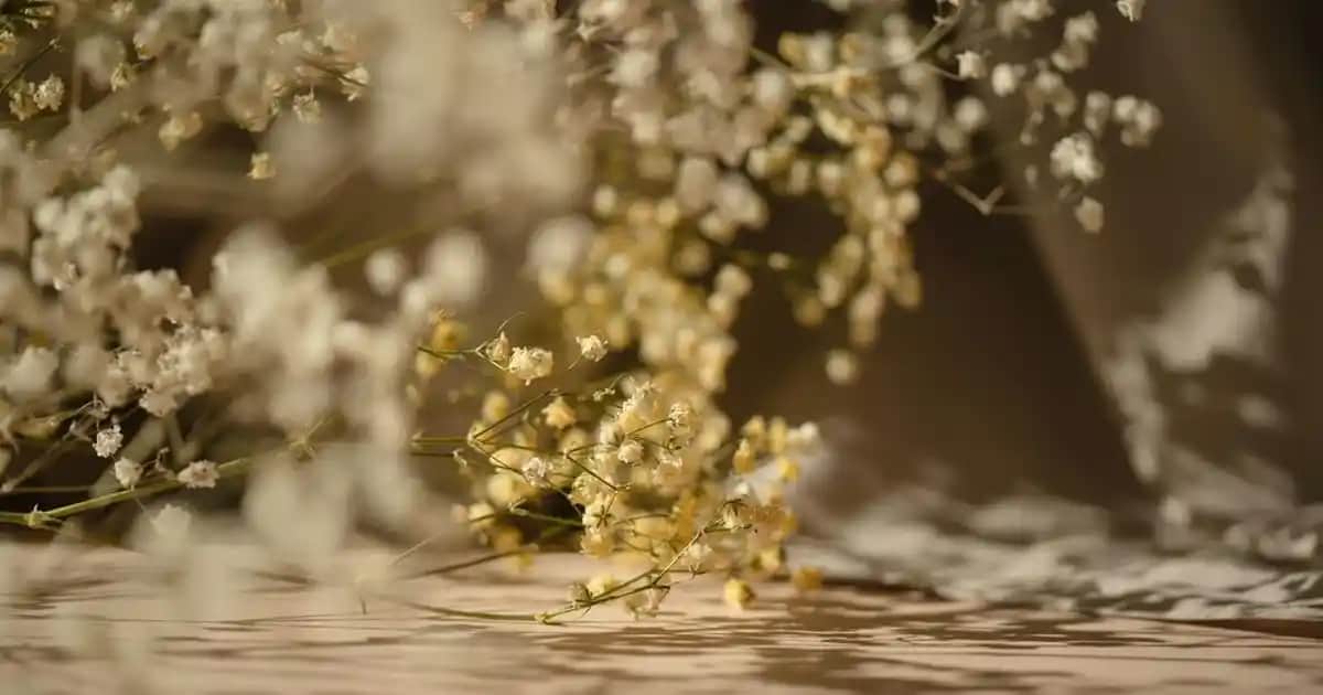 Rebul Bouquet Parfümü: Çiçek Bahçesi Tadında Ferahlatıcı ve Kalıcı Koku