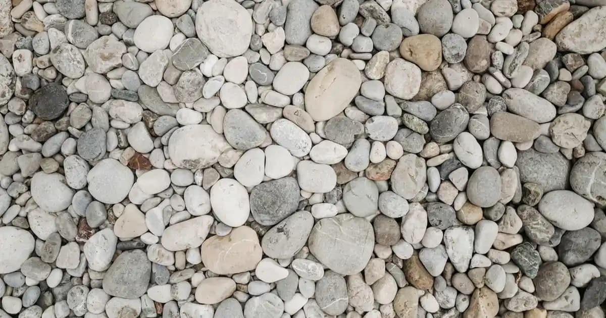 Restorex Saç Yağı ile Güçlü ve Sağlıklı Saçlar İçin Doğal Çözüm Rehberi