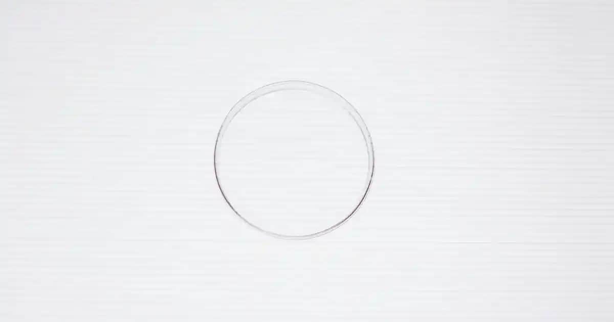 Revitalift Lazer X3 Serum: Yaşlanma Karşıtı Güç ve Cilt Yenileme Çözümü