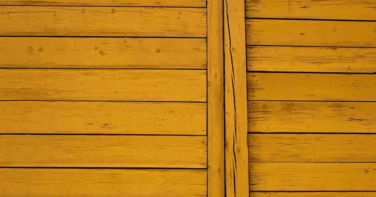 Rexona Guard: Güçlü Koruma ve Günlük Bakımda Modern Kozmetik Çözümleri