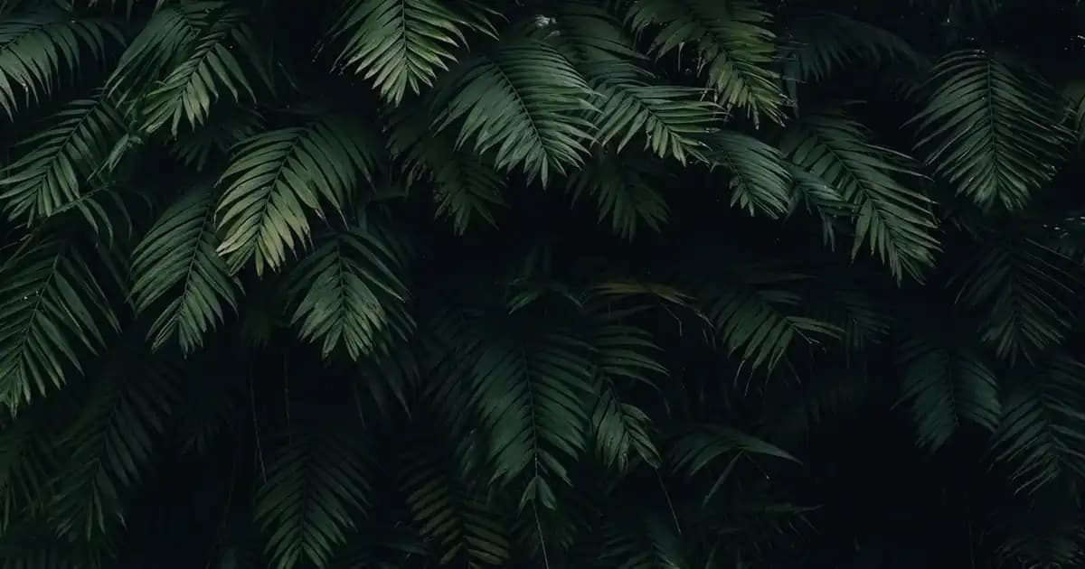 Rexona Xtra Cool 200 ml Deodorant ile Günlük Tazelik ve Güçlü Koruma Sağlayın