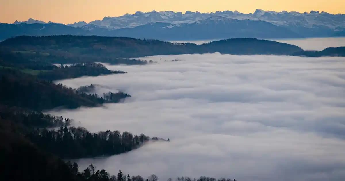 Rozasea Kremleri ve Gül Hastalığının Etkili Tedavi Yöntemleri