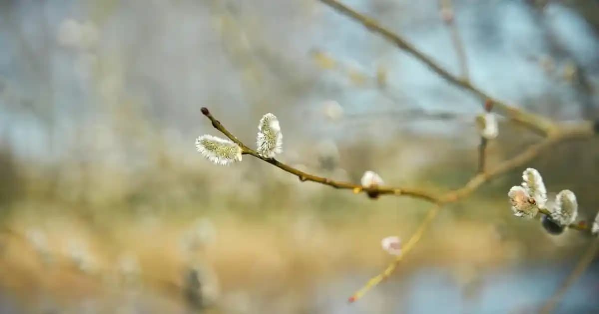 Ruby Kisses: Uygun Fiyatlı ve Kaliteli Kozmetik Ürünleriyle Güzellik Dünyasında Öne Çıkıyor