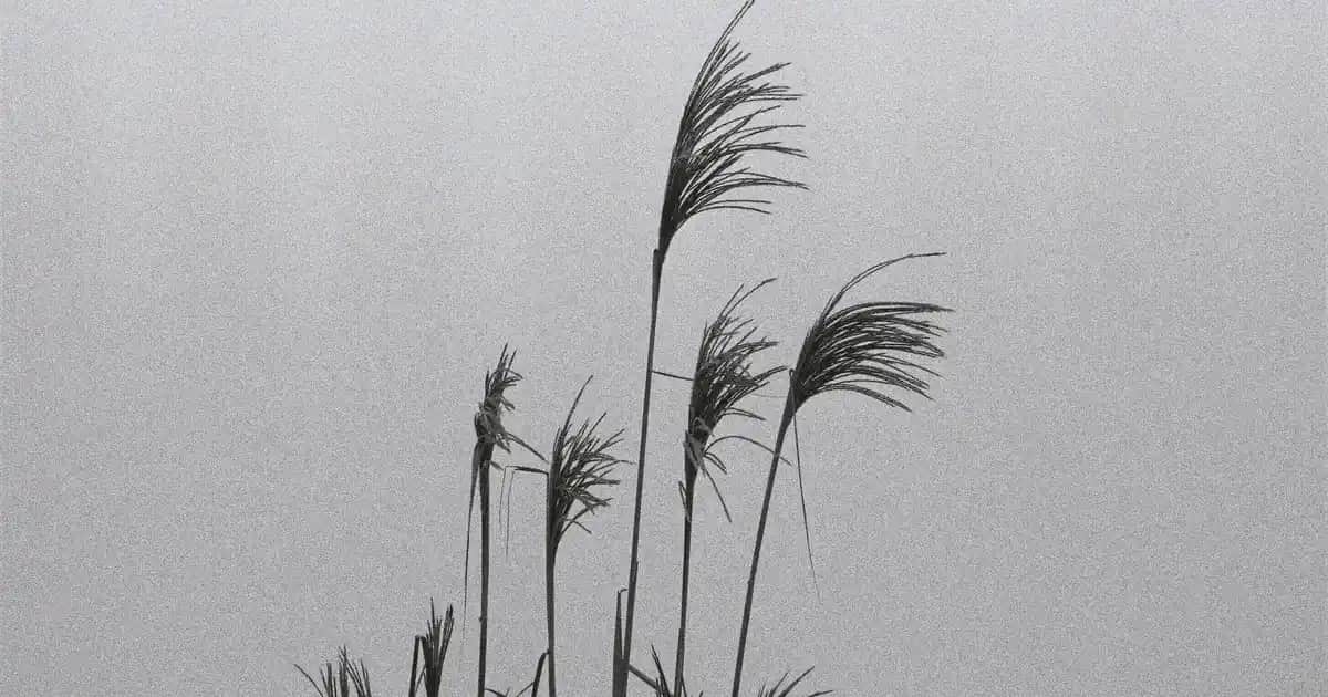 Ruj Çeşitleri ve Renk Seçenekleri: Dudaklara Şıklık Katmanın Yolları