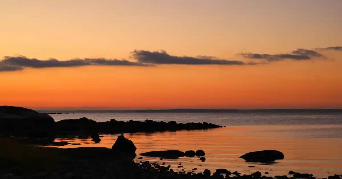 Sabri Tuncer Kolonyası: Geleneksel ve Modern Kokuların Buluştuğu Yüksek Kaliteli Marka