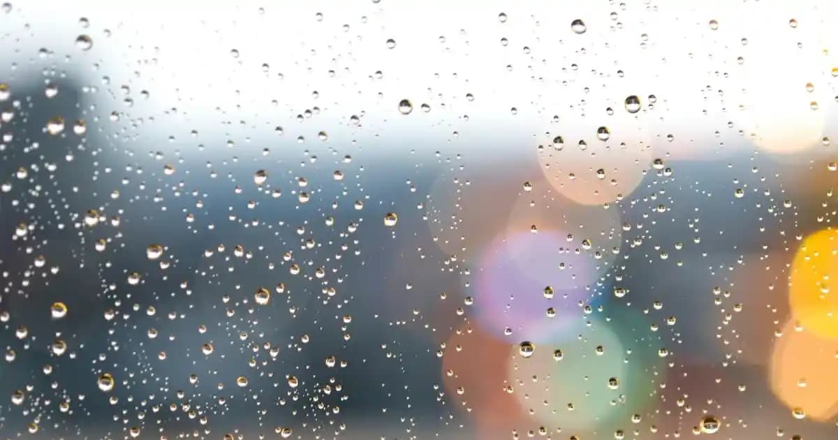 Saç Boyalarının Son Kullanma Tarihi Var mı ve Güvenli Kullanım İpuçları