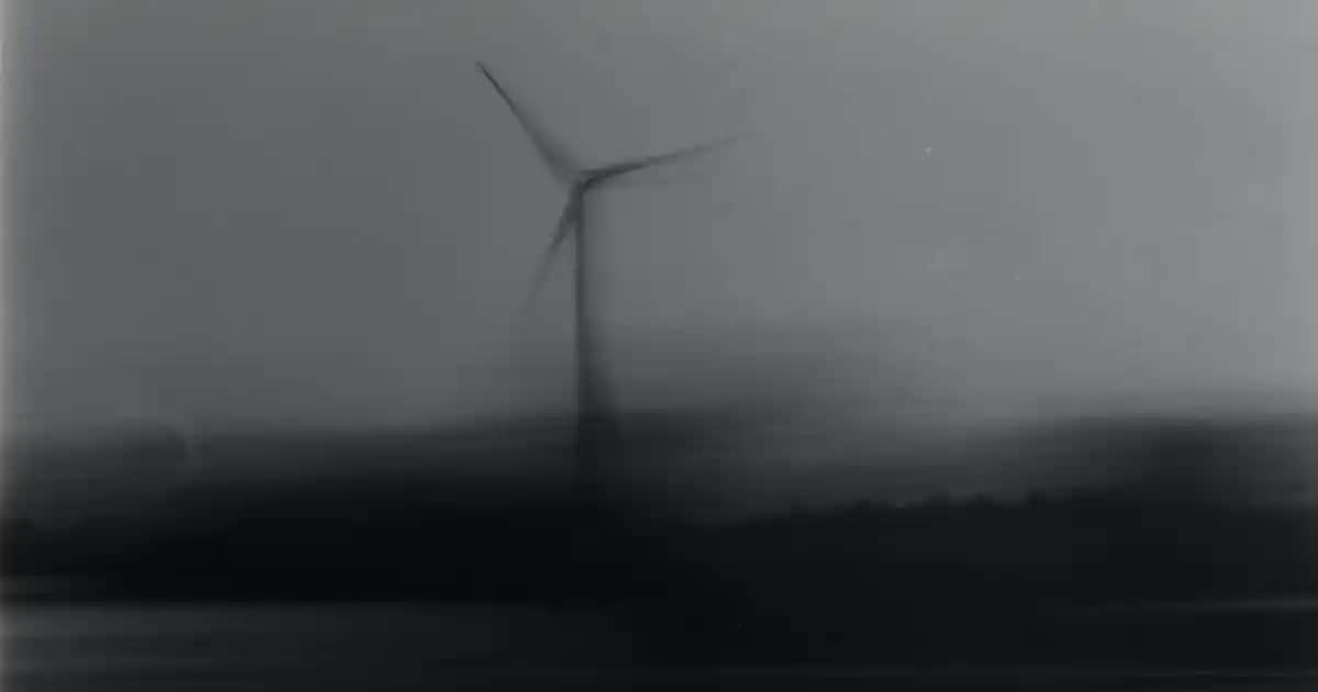 Saç Boyasını Güvenli ve Etkili Şekilde Çıkarmanın Yolları ve İpuçları